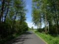 DSC02635