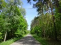 DSC02639