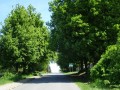 DSC02643
