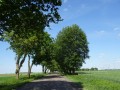 DSC02648