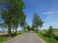 DSC02649