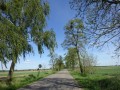 DSC02650