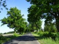 DSC02654