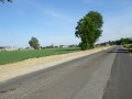DSC02657