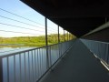 DSC02663