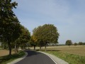 DSC04069