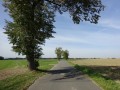 DSC04080