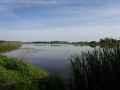 DSC04085