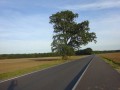 DSC04098
