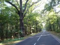 DSC04108