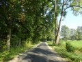 DSC04110