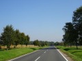 DSC04117