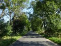 DSC04122