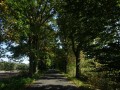 DSC04123