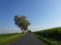 DSC04124