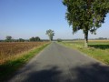 DSC04126
