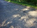 DSC04127
