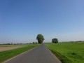 DSC04128