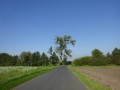 DSC04129