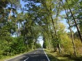 DSC04131
