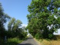 DSC02930