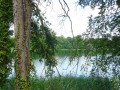 DSC02933