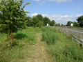 DSC02938