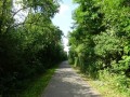 DSC02941