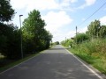 DSC02954
