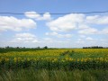 DSC02956