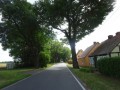 DSC02959
