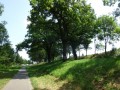 DSC02968