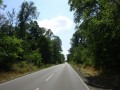 DSC02970