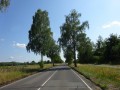 DSC02980