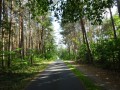 DSC02981