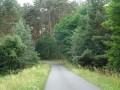 DSC02985