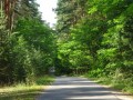 DSC02986