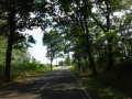 DSC02988
