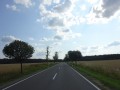 DSC02990