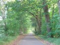 DSC03000