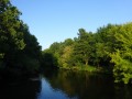 DSC03002