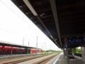 DSC03003