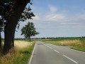 DSC03008