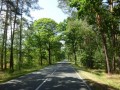 DSC03009
