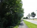 DSC03014