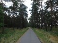 DSC03019