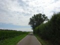DSC03020