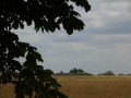DSC03022