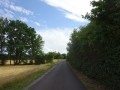 DSC03039