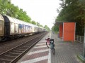 DSC03040